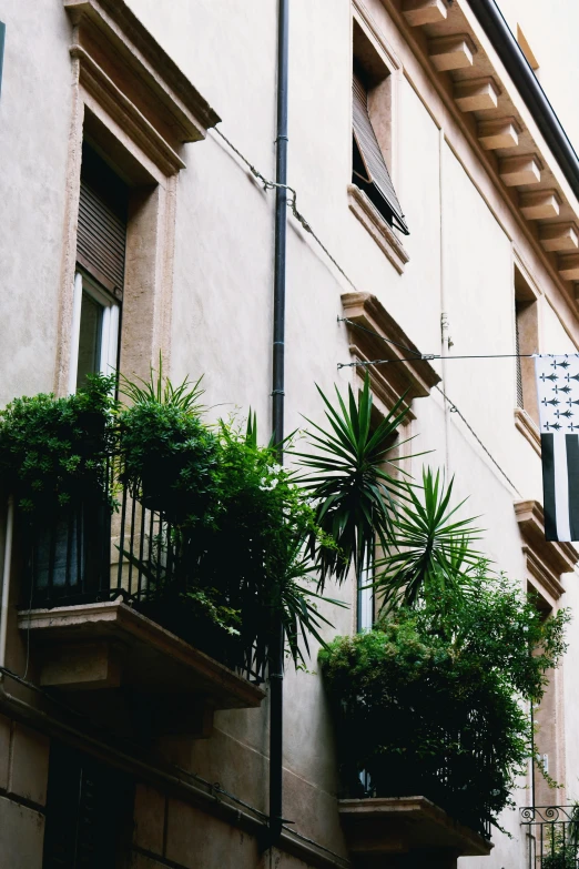 a street sign hanging from the side of a building, by Caterina Tarabotti, pexels contest winner, modernism, plants on balconies, palermo city street, exterior view, lush greens