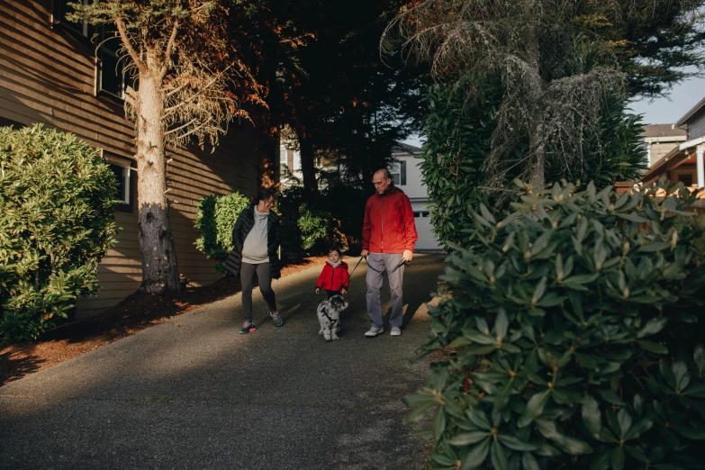 a group of people walking a dog down a sidewalk, unsplash, portrait of family of three, black fir, avatar image, driveway