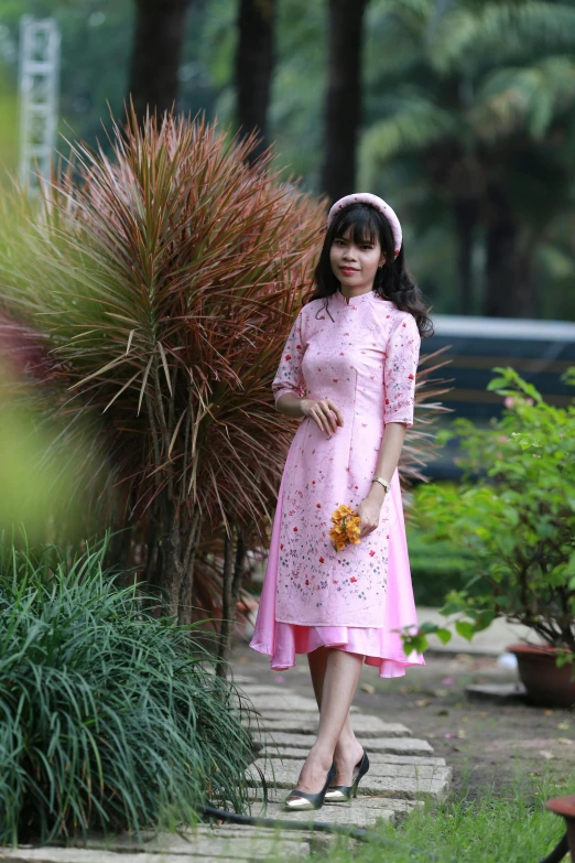 a woman in a pink dress standing in a garden, inspired by Cui Bai, happening, vietnam, 8 k ), 15081959 21121991 01012000 4k, wearing beautiful clothes