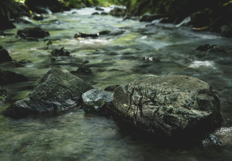 a stream running through a lush green forest, an album cover, inspired by Elsa Bleda, naturalism, with lots of dark grey rocks, peacefully drinking river water, unsplash photography, medium format. soft light