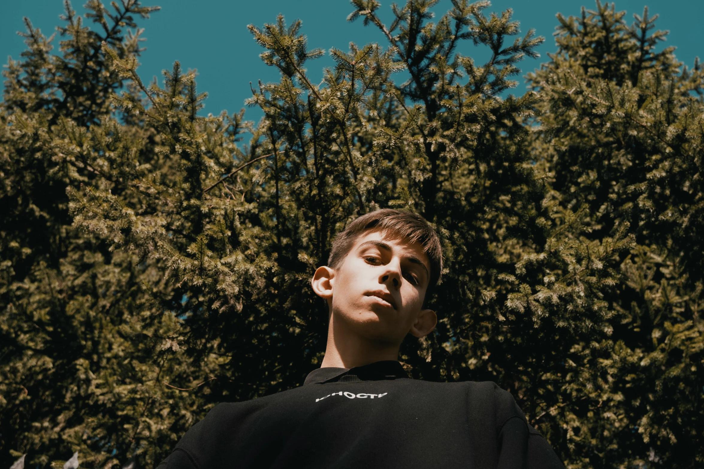 a young man standing in front of a tree, an album cover, inspired by Jean Malouel, pexels contest winner, hyperrealism, wearing a black sweater, boyish face, looking up to the sky, on a sunny day