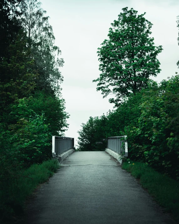 a bridge in the middle of a lush green forest, an album cover, inspired by Thomas Struth, unsplash, view from the streets, chemistry, swedish countryside