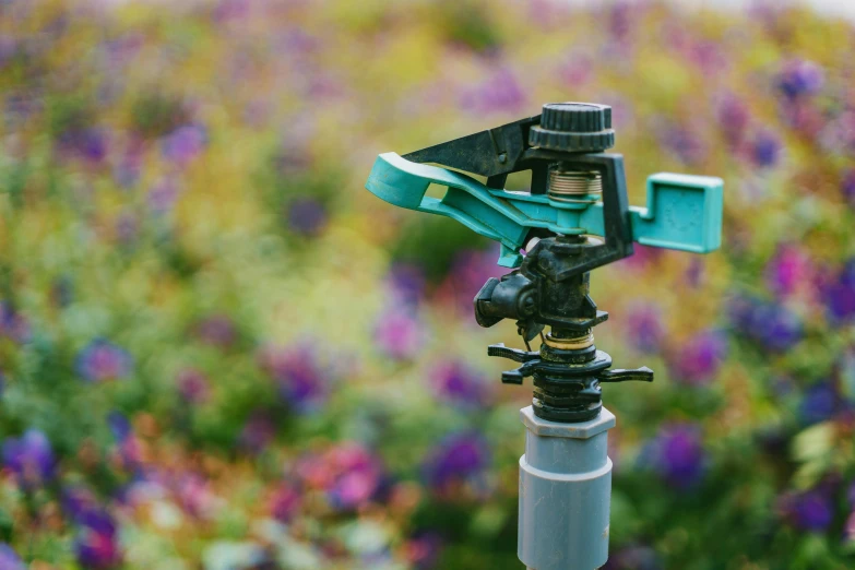 a sprinkler on a tripod in a field of flowers, by Carey Morris, unsplash, renaissance, blue and purple and green, hoses, plain background, no cropping