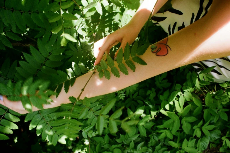 a person with a butterfly tattoo on their arm, inspired by Ren Hang, land art, amongst foliage, botanical herbarium paper, fern, al fresco