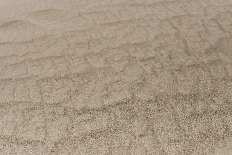 a cat laying on top of a bed next to a pillow, inspired by Richard Artschwager, texture of sand, clear detailed view, palm pattern visible, 3d printed line texture