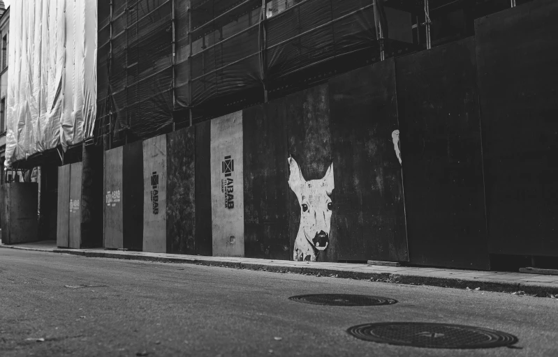 a black and white photo of a dog on the side of a building, street art, under construction, empty metropolitan street, a horned, unsplash photography