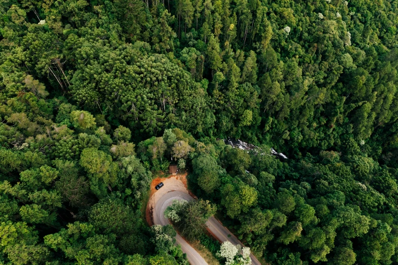 an aerial view of a road surrounded by trees, by Emma Andijewska, hurufiyya, lush and green, instagram photo, te pae, as seen from the canopy