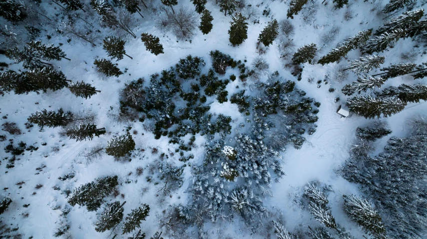 a bird's eye view of a snow covered forest, an album cover, by Adam Marczyński, unsplash contest winner, land art, body shot, extremely detailed frontal angle, fairy circle, hyperrealistic image