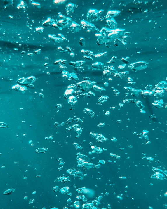 a bunch of bubbles floating in the water, an album cover, pexels contest winner, teal aesthetic, ocean sprites, background image, hyperdetailed photo