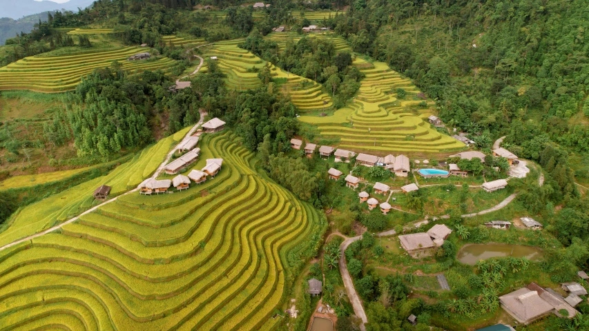 a group of houses sitting on top of a lush green hillside, by Daren Bader, pexels contest winner, hurufiyya, vietnam war, helicopter view, thatched roof, conde nast traveler photo