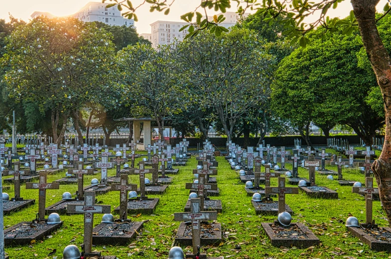 a cemetery filled with lots of tombstones and trees, a photo, by Alexander Fedosav, in hong kong, dead soldiers on the battlefield, morning lighting, fan favorite