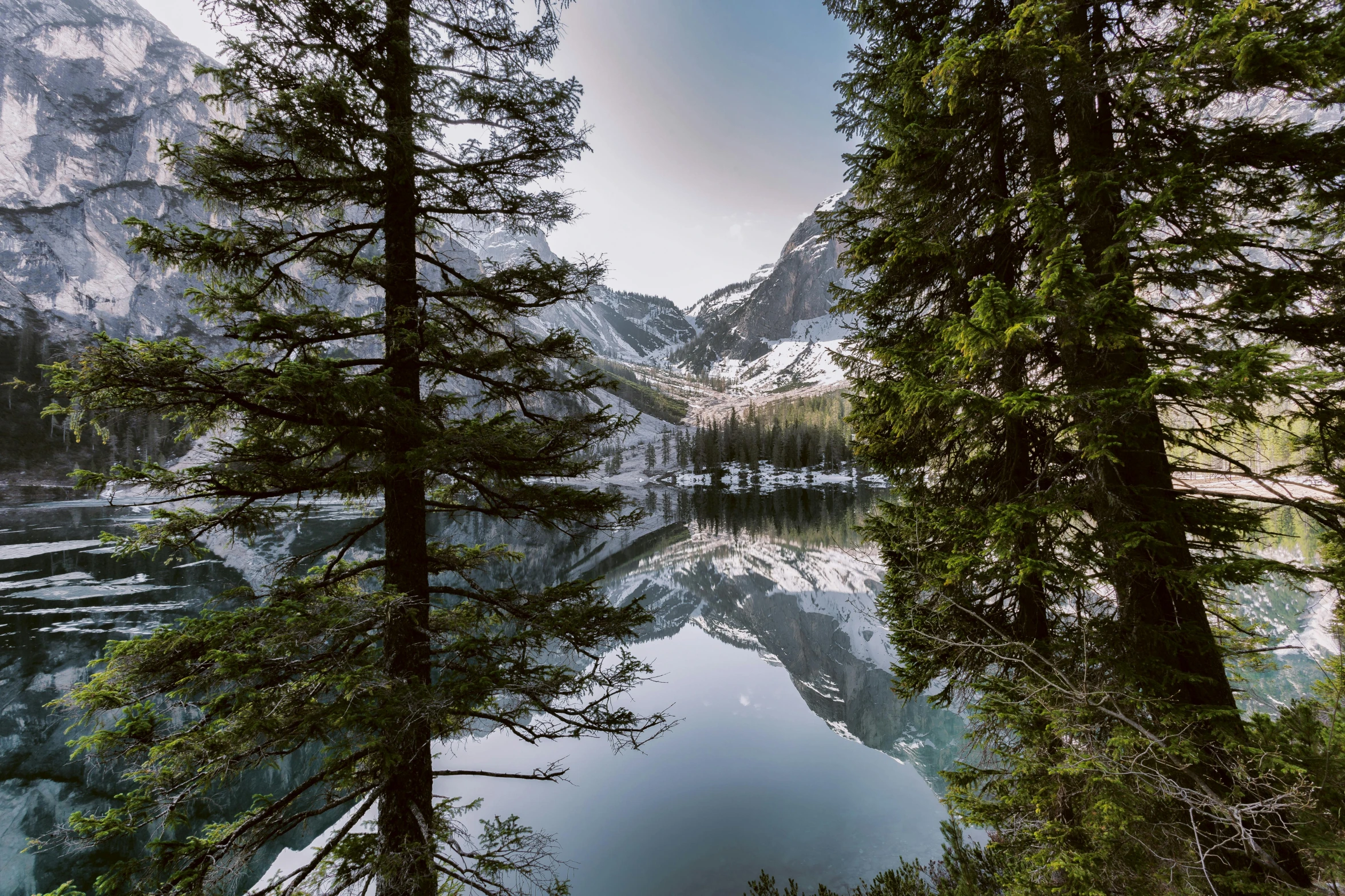 a large body of water surrounded by trees, a picture, by Sebastian Spreng, pexels contest winner, hurufiyya, alpes, symmetrical image, grey, mirror lake