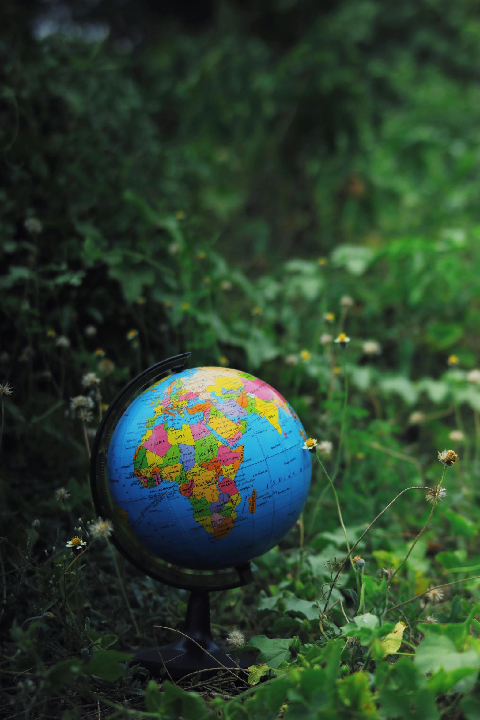 a blue globe sitting on top of a lush green field, coloured photo, focus on map, sustainable materials, africa