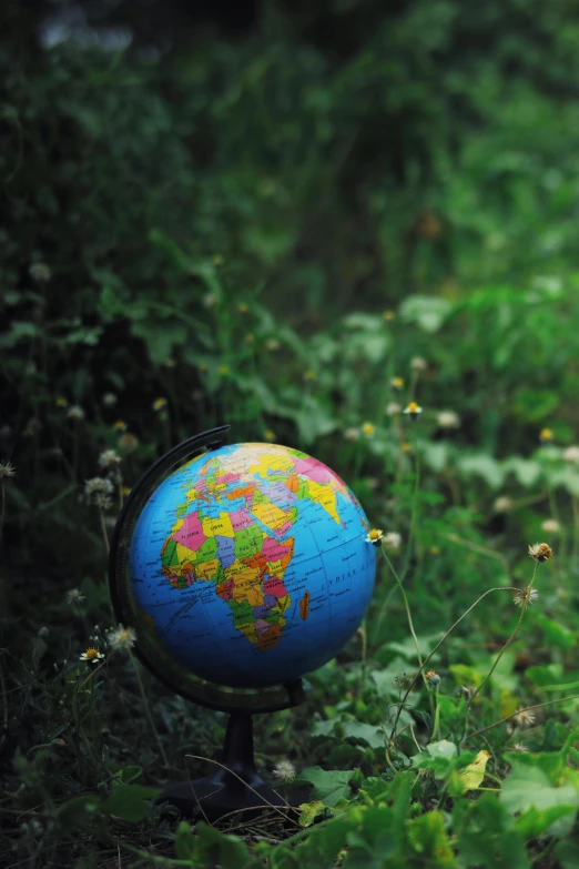 a blue globe sitting on top of a lush green field, coloured photo, focus on map, sustainable materials, africa