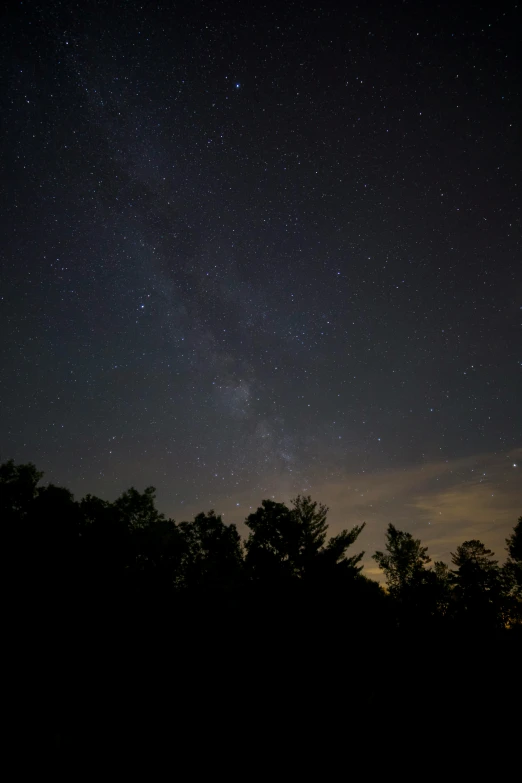 the night sky with stars and trees in the foreground, by Robert Storm Petersen, light and space, minn, summer night, today\'s featured photograph 4k, william penn state forest