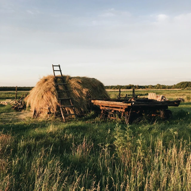 a pile of hay sitting on top of a lush green field, by Emma Andijewska, unsplash, land art, wooden structures, marsh, working out in the field, evening time