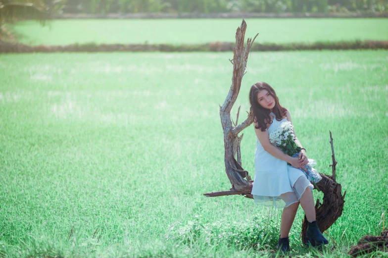 a woman sitting on a tree branch in a field, a picture, unsplash, iray, portrait image, slide show, fullbody photo