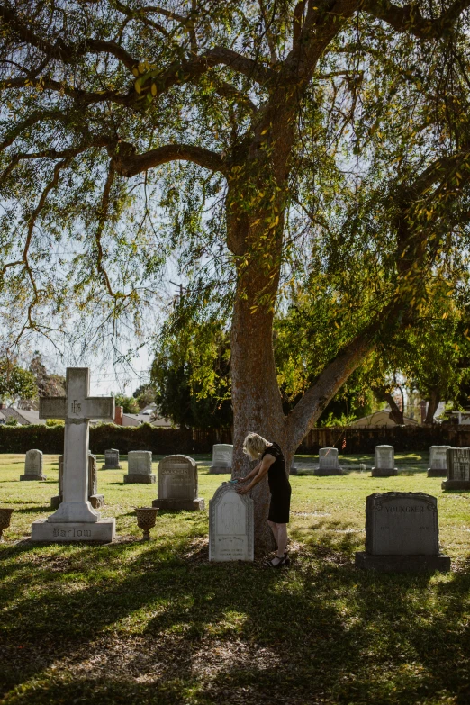 a person sitting under a tree in a cemetery, los angelos, profile image, wide long shot, embracing