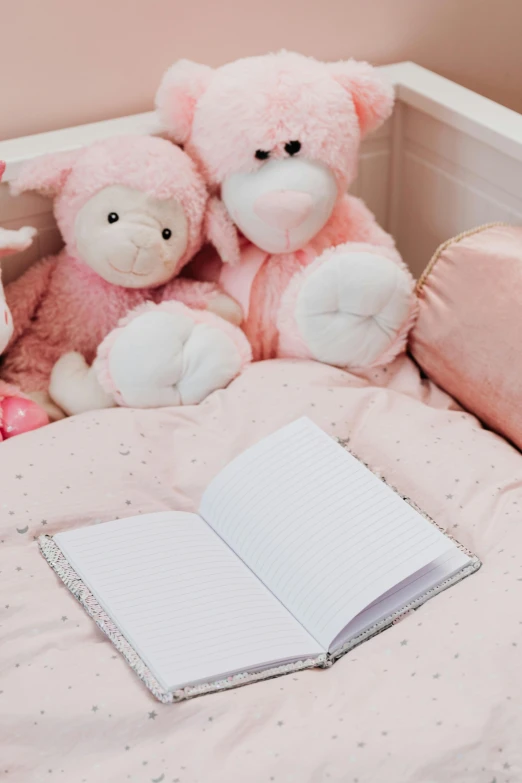 a book sitting on top of a bed next to stuffed animals, by Julia Pishtar, pexels, pink diamonds, writing in journal, twins, full product shot