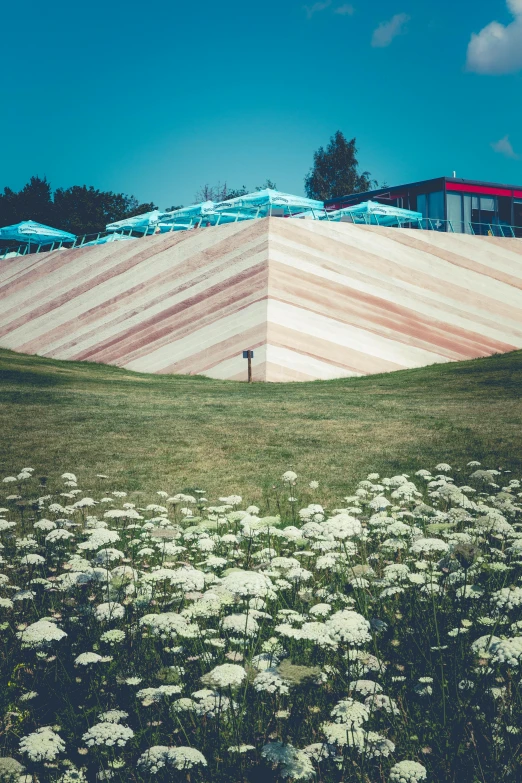 a building sitting on top of a lush green field, an abstract sculpture, inspired by karlkka, unsplash, land art, polygonal wooden walls, flowers in a flower bed, shaped like a yacht, wall corner