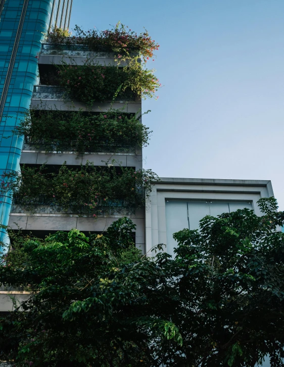 a tall building with plants growing on the side of it, inspired by Tadao Ando, unsplash contest winner, bangkok, 2 0 0 0's photo, sustainable materials, low quality photo