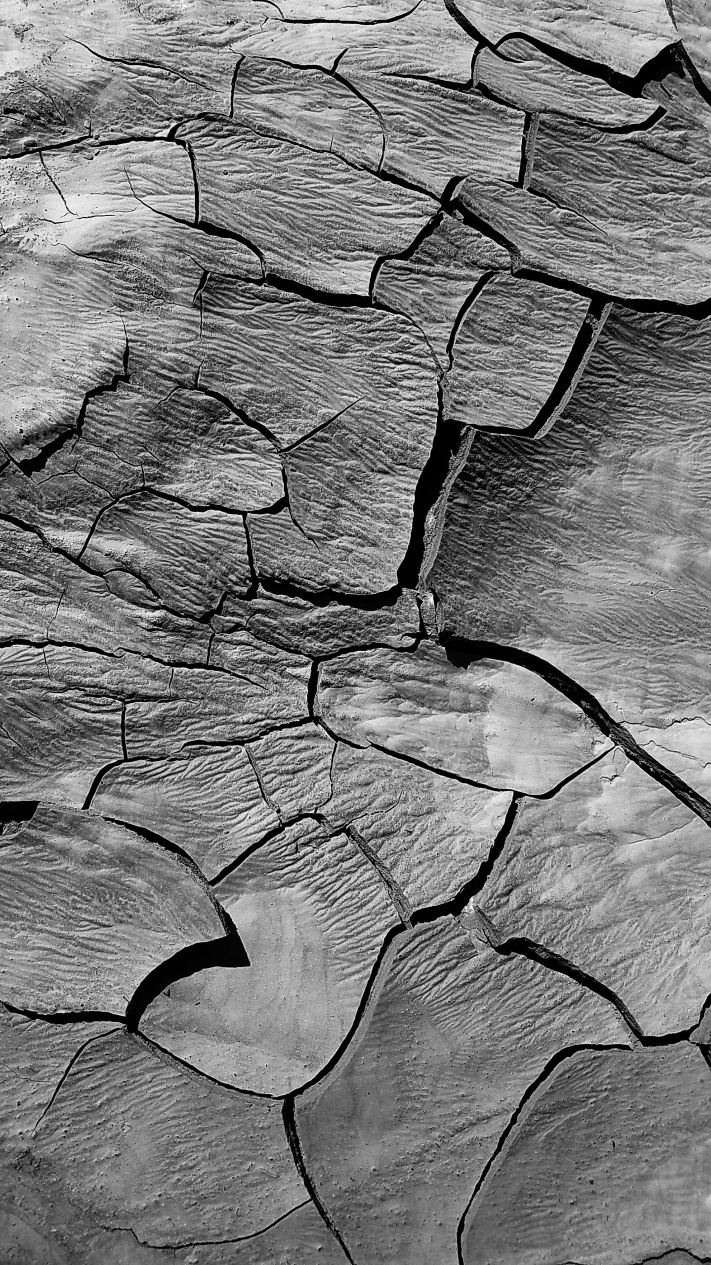 a black and white photo of cracked rocks, a microscopic photo, inspired by René Burri, pexels, conceptual art, wood surface, satellite view, 15081959 21121991 01012000 4k