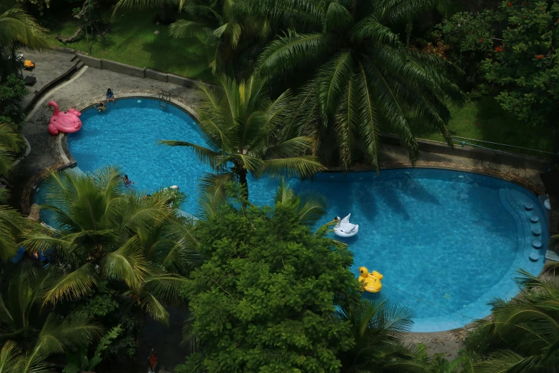 an aerial view of a swimming pool surrounded by palm trees, hurufiyya, lush environment, multiple stories, coban, kids