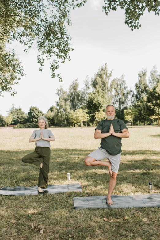 a group of people doing yoga in a park, by Jan Tengnagel, full body 8k, two old people, promotional image, brown