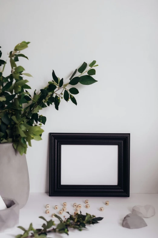 a picture frame sitting on top of a table next to a plant, inspired by Robert Mapplethorpe, pexels contest winner, black furniture, with soft bushes, with a white background, looking towards camera