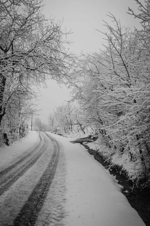 a black and white photo of a snowy road, a black and white photo, by Muggur, covered!!