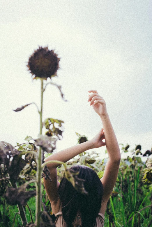 a woman standing in the middle of a field of sunflowers, inspired by Elsa Bleda, unsplash, conceptual art, raised hand, datura, next to a plant, grainy low quality photograph