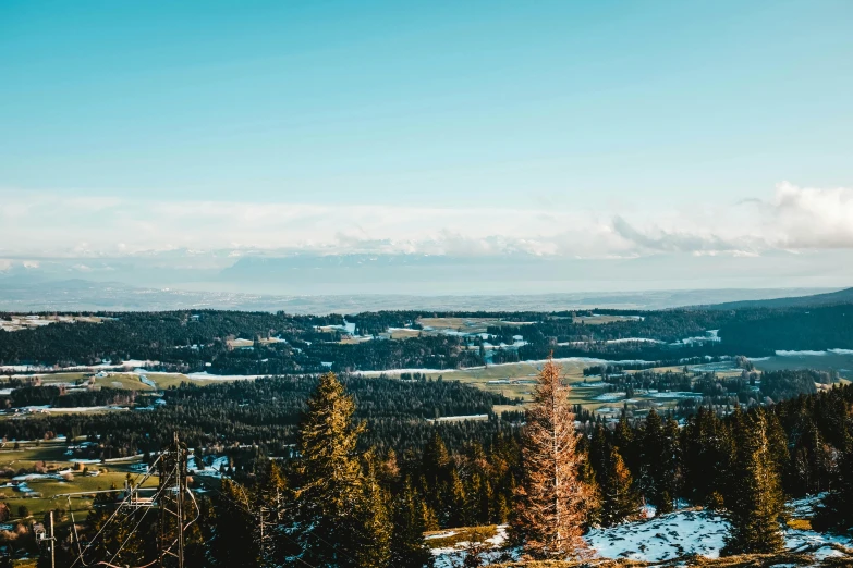 a person standing on top of a snow covered slope, by Alexander Bogen, pexels contest winner, overlooking a valley with trees, panorama distant view, evergreen valley, clear blue skies