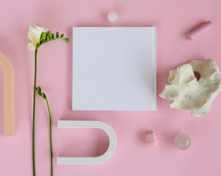 various objects arranged on a pink surface, an album cover, inspired by Robert Mapplethorpe, trending on unsplash, white stone arches, an open book, pure white, made of crystal