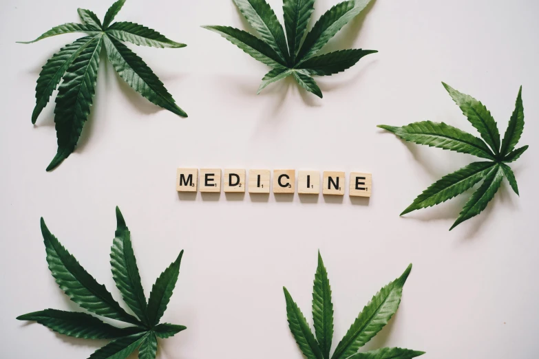 marijuana leaves surrounding the word medicine, a portrait, trending on pexels, flatlay, background image, profile picture, instagram picture