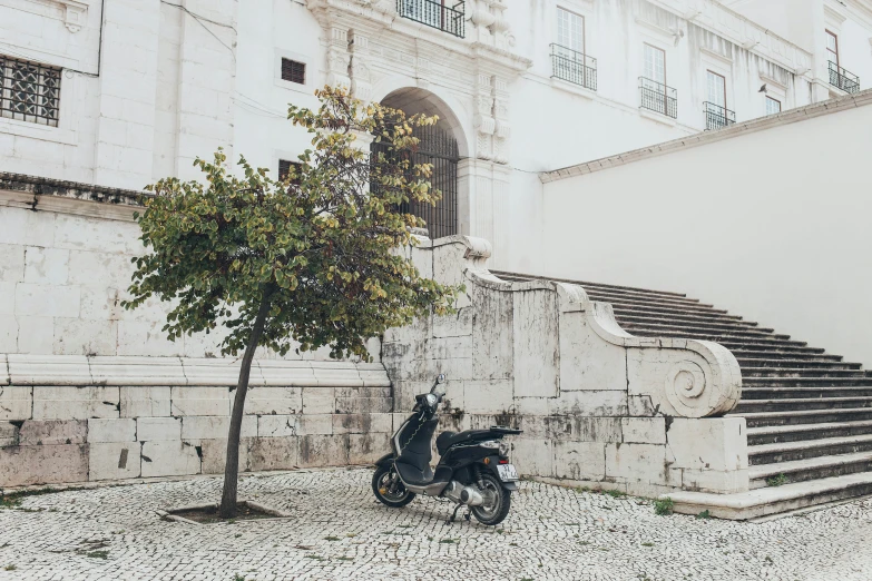 a scooter parked next to a tree in front of a building, unsplash contest winner, neoclassicism, square, whitewashed buildings, portugal, profile image