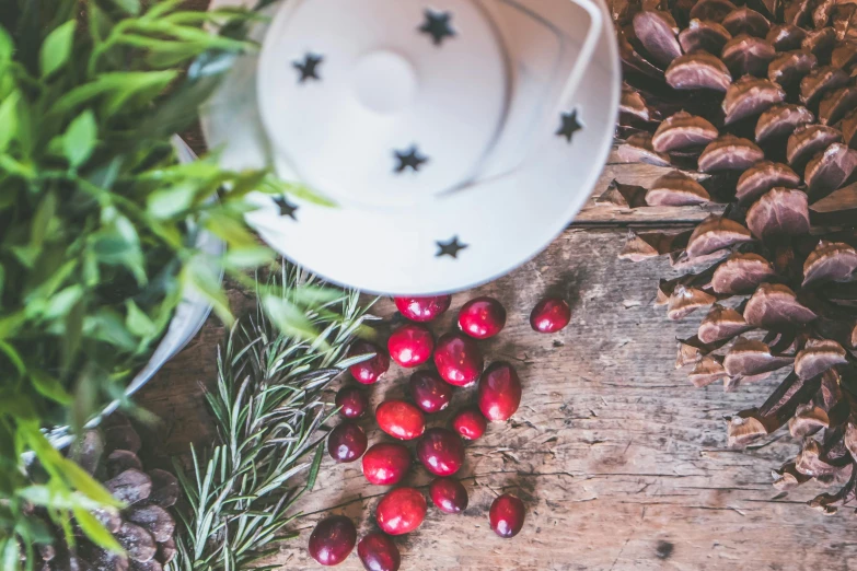 cranberries and pine cones on a wooden table, a still life, trending on pexels, emma bridgewater and paperchase, avatar image, white, herbs