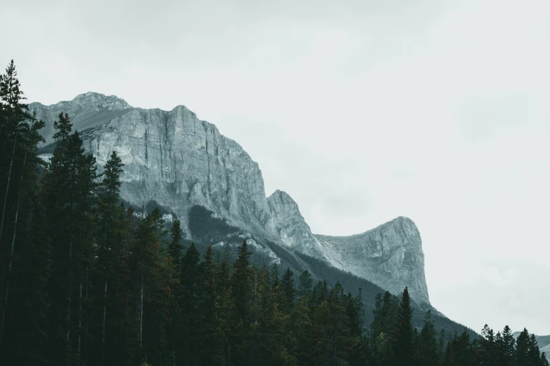 a mountain in the distance with trees in the foreground, by Alexander Johnston, pexels contest winner, minimalism, rocky mountains, grey, high forehead, multiple stories