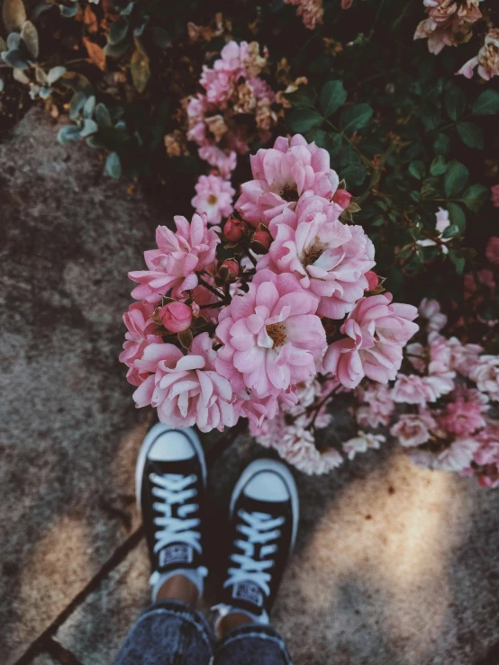 a person standing in front of a bunch of flowers, a picture, by Lucia Peka, trending on unsplash, sneaker photo, high angle close up shot, ((pink)), outdoor photo