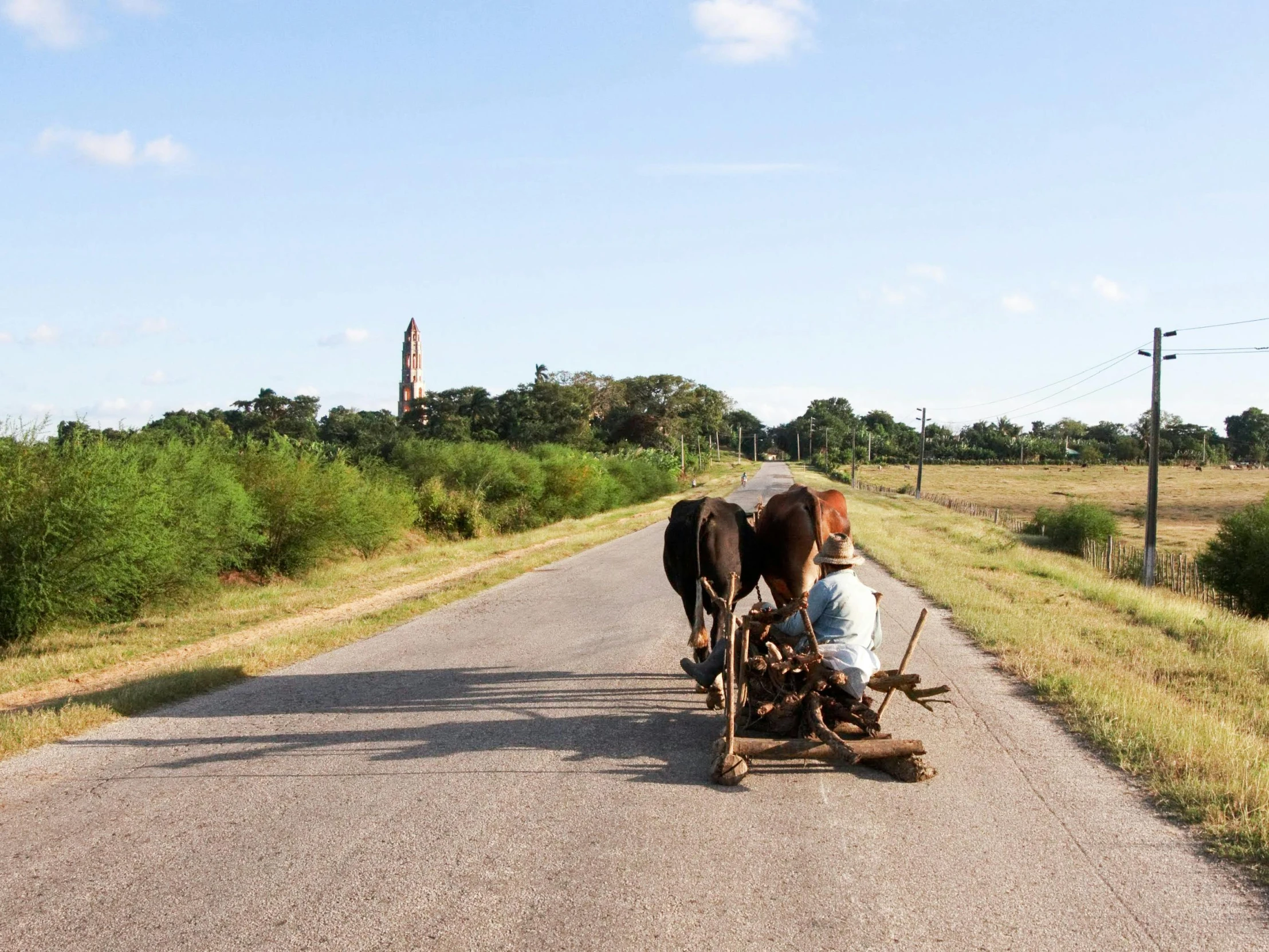 a man riding a horse drawn carriage down a road, an album cover, by Ceferí Olivé, pexels contest winner, folk art, cuba, farmland, distant photo, sri lanka