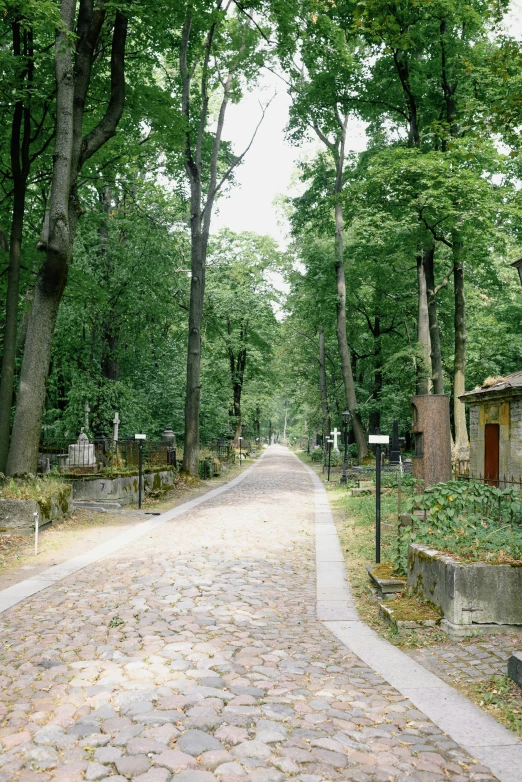 a stone road surrounded by trees in a park, inspired by Kazimierz Wojniakowski, renaissance, in the middle of a graveyard, 2 0 0 2, exterior, overview