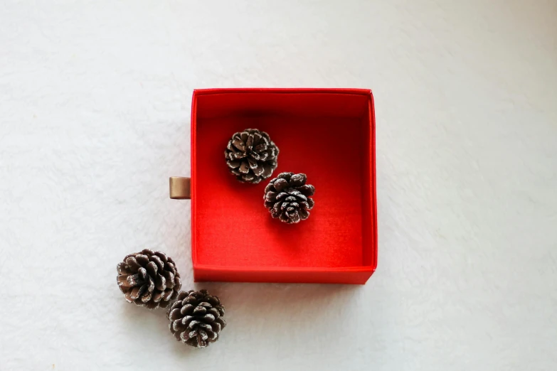 three pine cones in a red box on a white surface, unsplash, minimalism, jewellery, square, spiked wristbands, high - angle view