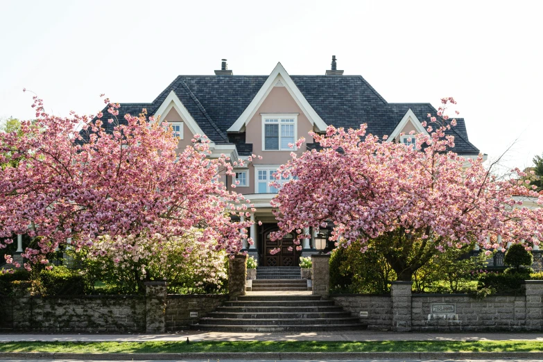 a house with flowering trees in front of it, unsplash, vancouver school, conde nast traveler photo, fan favorite, magnolias, contest winning masterpiece