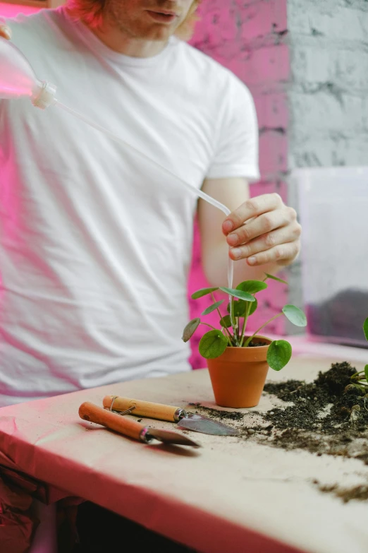 a man sitting at a table with a potted plant, pexels contest winner, process art, using a spade, biotechnology, modelling clay, woman