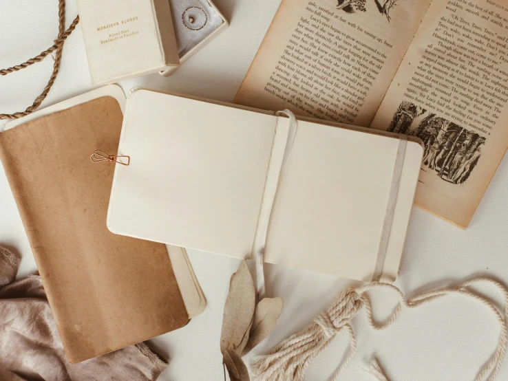 a couple of books sitting on top of a table, a still life, trending on pexels, visual art, beige color scheme, cosplay journal cover, beige, soft white rubber