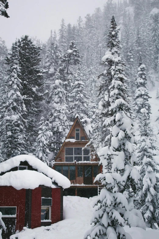 a cabin in the middle of a snowy forest, a photo, by Jessie Algie, renaissance, idaho, built on a steep hill, u