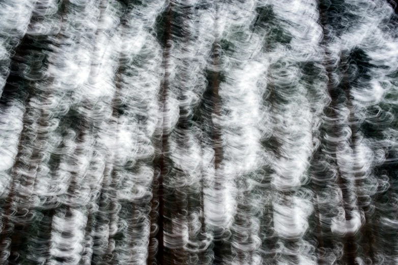 a blurry photo of a group of trees, a portrait, unsplash, lyrical abstraction, contrails, abstract rippling background, pine, dark and white
