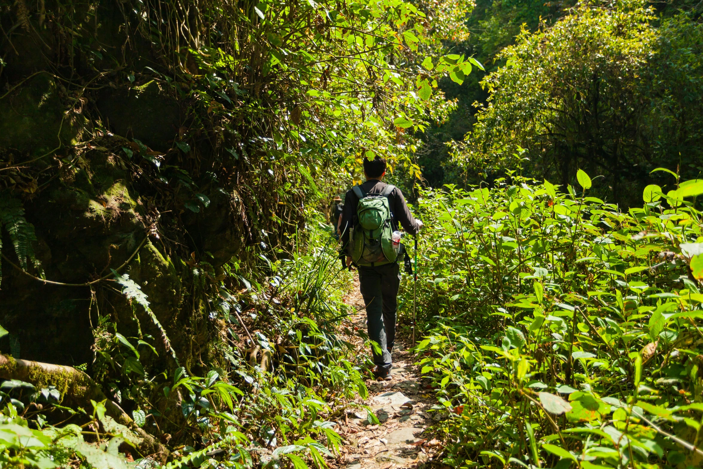 a man walking through a lush green forest, pexels, sumatraism, avatar image, hiking in rocky mountain, sports photo, nepal