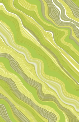 a pattern of wavy lines on a green background, inspired by Grillo Demo, geological strata, slight yellow hue, 144x144 canvas, 🐿🍸🍋