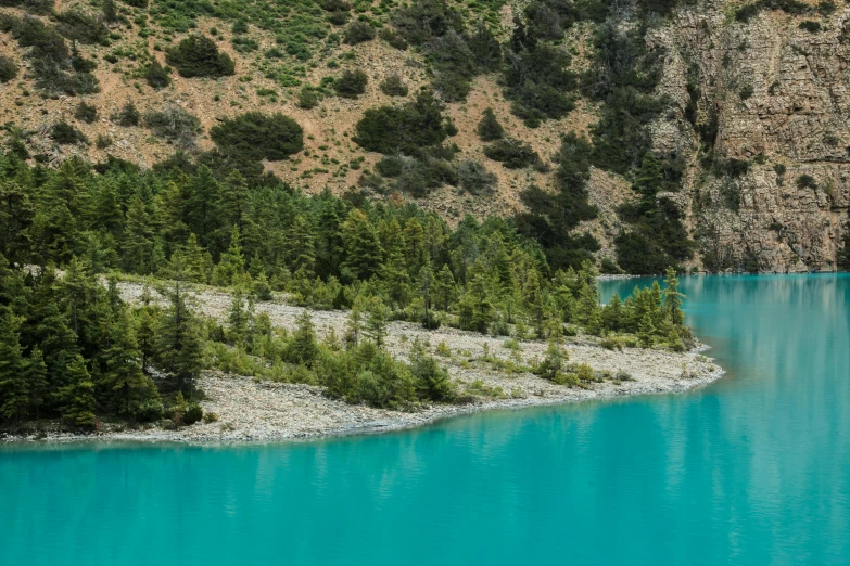 a large body of water surrounded by trees, by Daren Bader, pexels contest winner, hurufiyya, omar shanti himalaya tibet, turquoise blue face, 2045, coloured photo