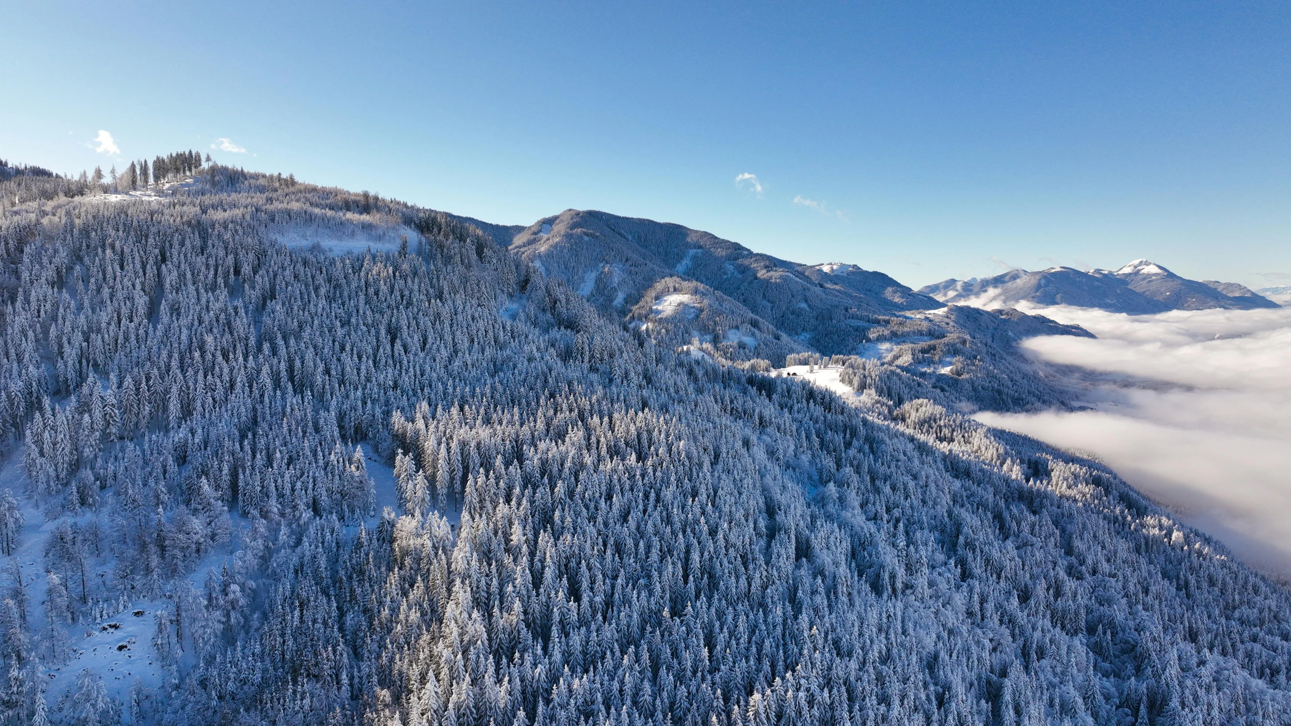 a view of a mountain covered in snow, by Matthias Weischer, fir forest, drone photograpghy, blue clear skies, thumbnail